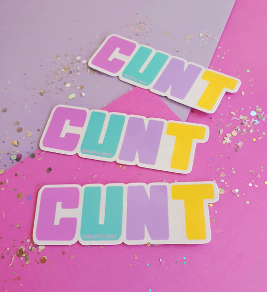 Cunt Rainbow Sticker